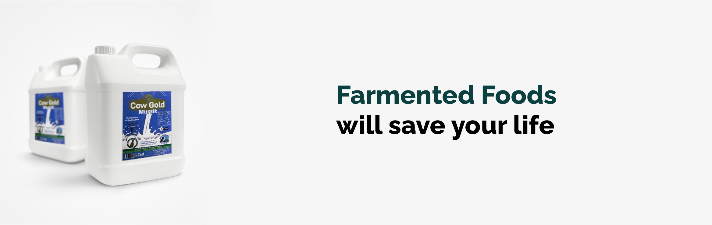 Fermented Foods will Save Your Life.